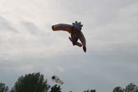 Ferrara
                  13_038