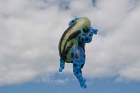 Ferrara
                  13_053