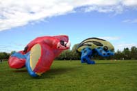 Ferrara
                  13_055