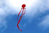 Ferrara
                  13_059