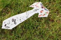 Ferrara
                  13_064