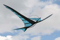 Ferrara
                  13_067