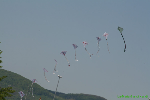 Fruehling 09_0161