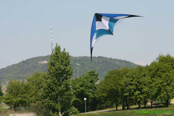 Fruehling 09_0182