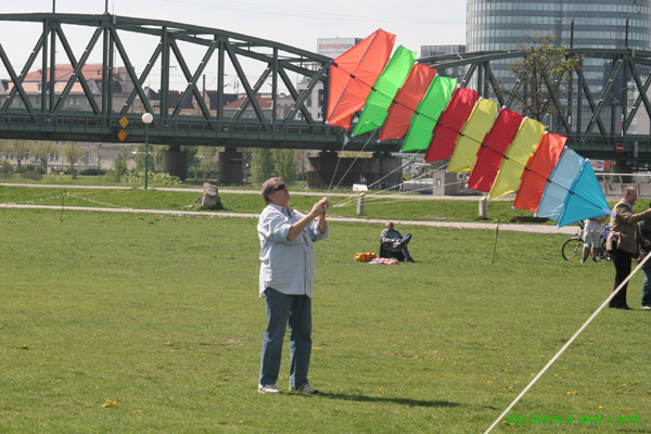 Fruehling 09_0250