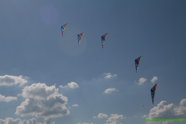 Fruehling 09_0608