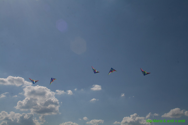 Fruehling 09_0625