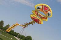 Fruehling 09_0226