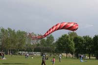 Fruehling 09_0372