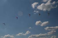 Fruehling 09_0635