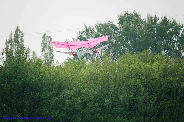 Fruehlingsdrachenfest 2014 022