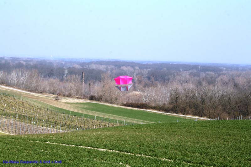 Jungweinschnuppern 15_003