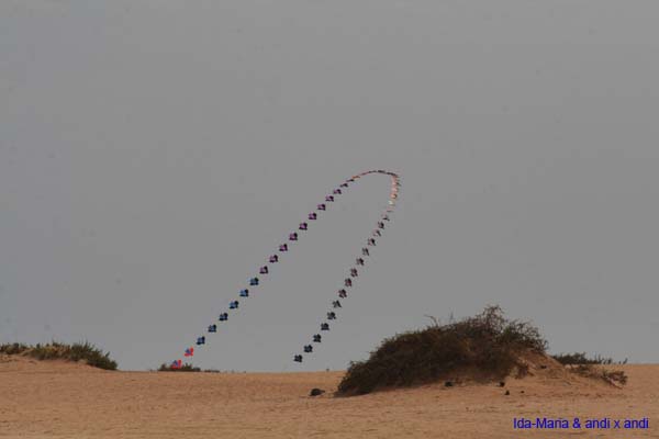 Fuerteventura 12_007