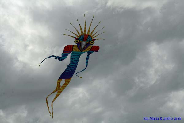 Fuerteventura 12_008