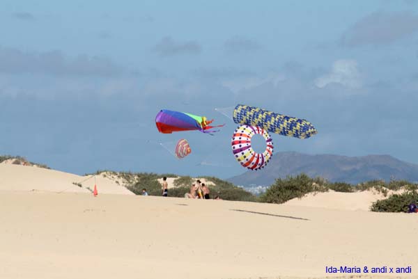 Fuerteventura 12_018