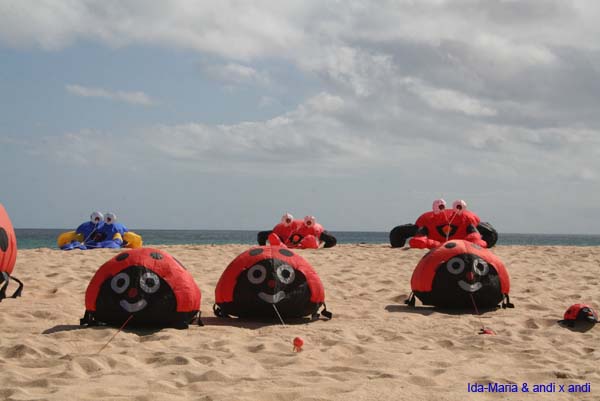 Fuerteventura 12_024