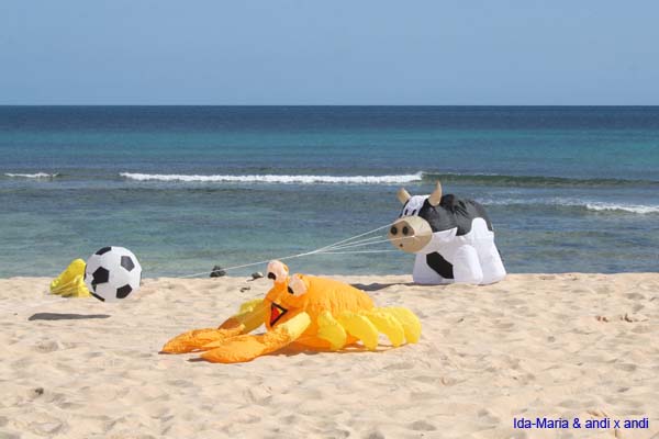 Fuerteventura 12_025
