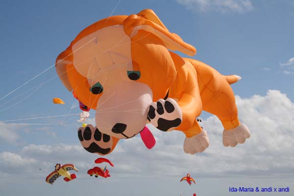 Fuerteventura 12_033