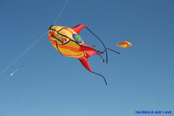 Fuerteventura 12_038