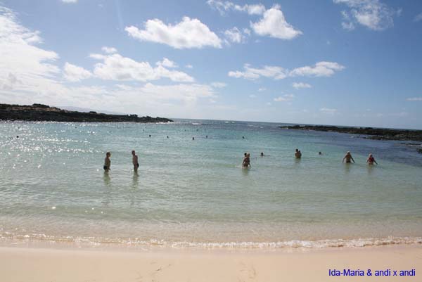 Fuerteventura 12_056