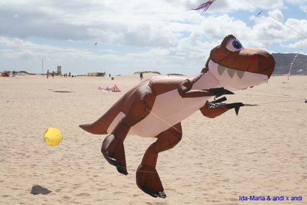Fuerteventura 12_069