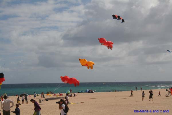 Fuerteventura 12_093