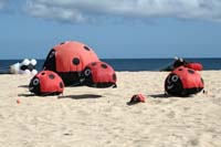 Fuerteventura 12_023