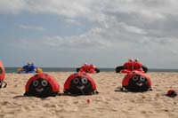 Fuerteventura 12_024