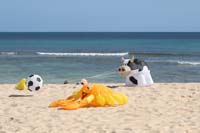 Fuerteventura 12_025
