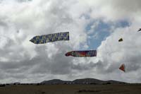 Fuerteventura 12_036