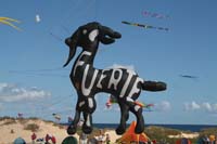 Fuerteventura 12_063