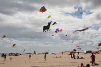 Fuerteventura 12_066
