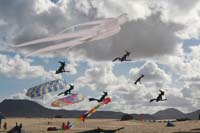 Fuerteventura 12_076