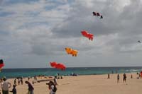 Fuerteventura 12_093