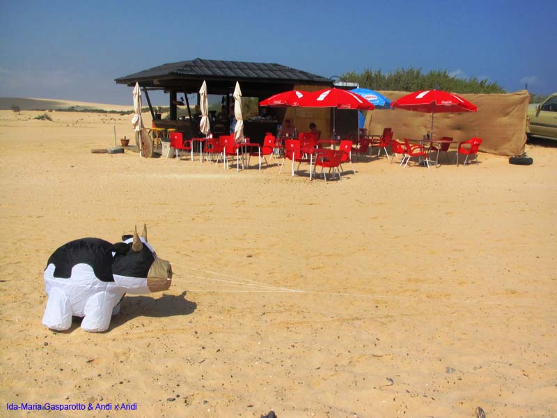 Fuerteventura 14_004