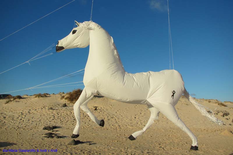 Fuerteventura 14_017