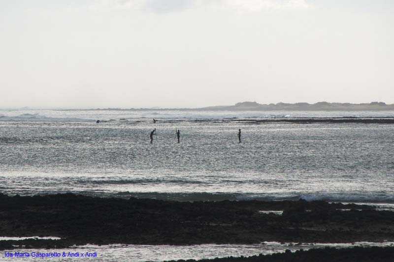 Fuerteventura 14_029