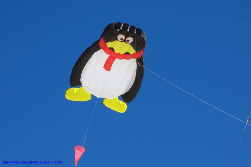 Fuerteventura 14_035