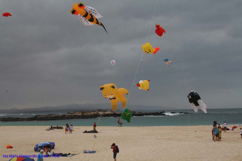 Fuerteventura 14_046