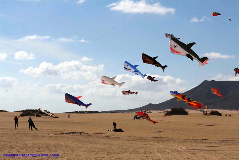 Fuerteventura 14_056