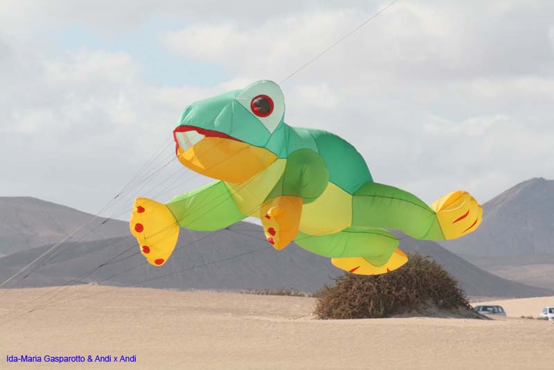 Fuerteventura 14_061