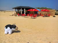 Fuerteventura 14_004