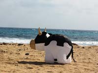 Fuerteventura 14_005