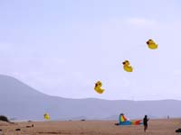 Fuerteventura 14_008