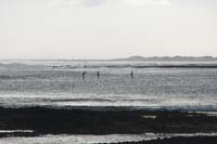 Fuerteventura 14_029