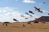Fuerteventura 14_056