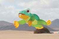 Fuerteventura 14_061