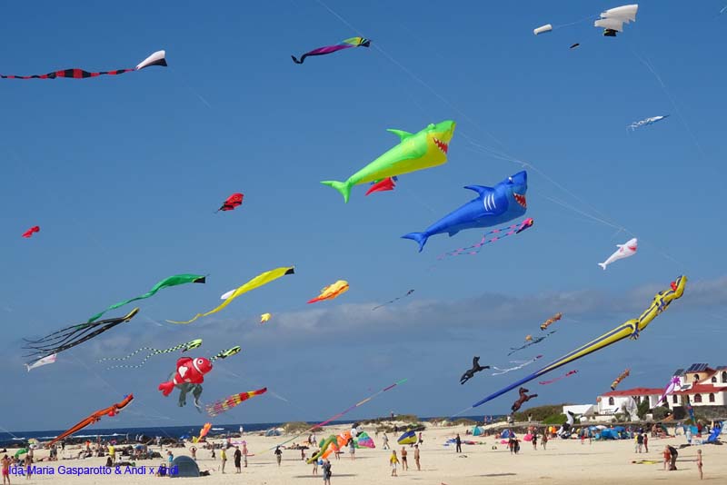 Fuerteventura 16_035