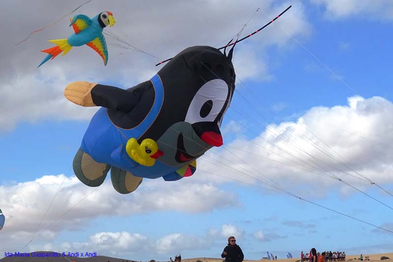 Fuerteventura 16_040