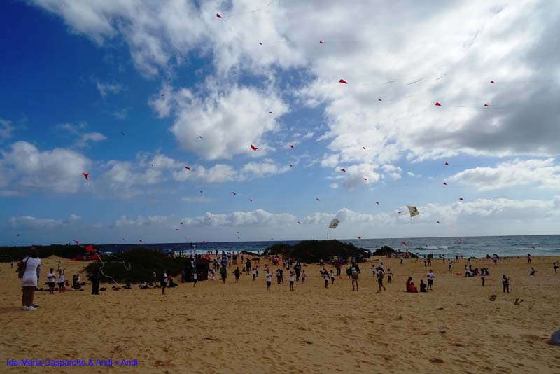 Fuerteventura 16_041